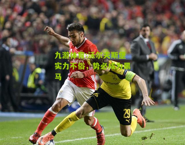 九游体育:沃尔夫斯堡实力不俗，势必成为黑马
